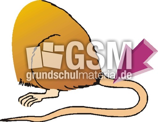 Schwanz.tif